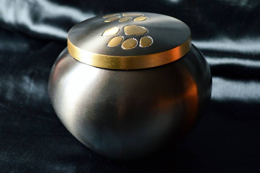 urna na prochy dla zwierząt